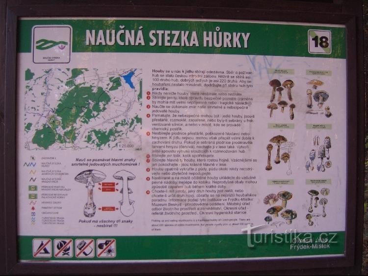 poučna tabla na modri oznaki na začetku gozda Rovná