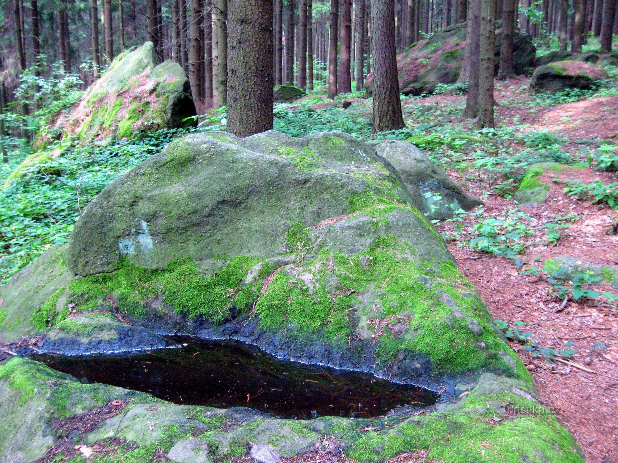 Percorso didattico alle rovine di Orlík