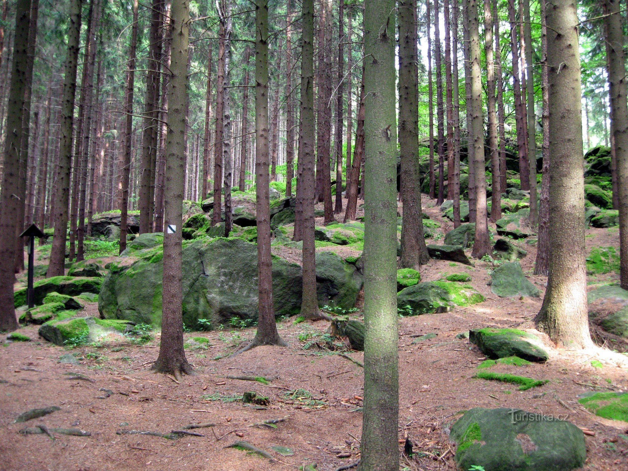 Lehrpfad zu den Ruinen von Orlík