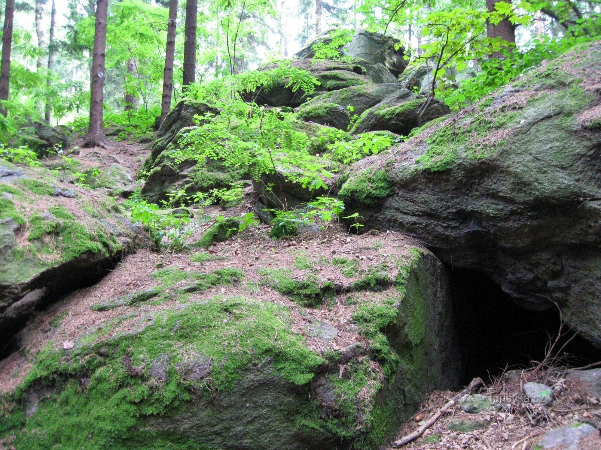 Educational trail to the Orlík ruins