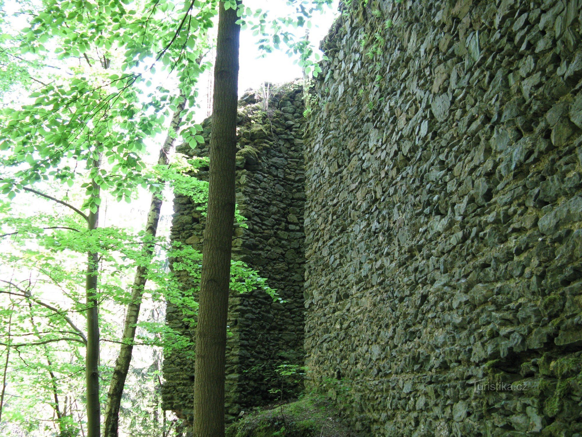Návarov - bastion zabatnog zida