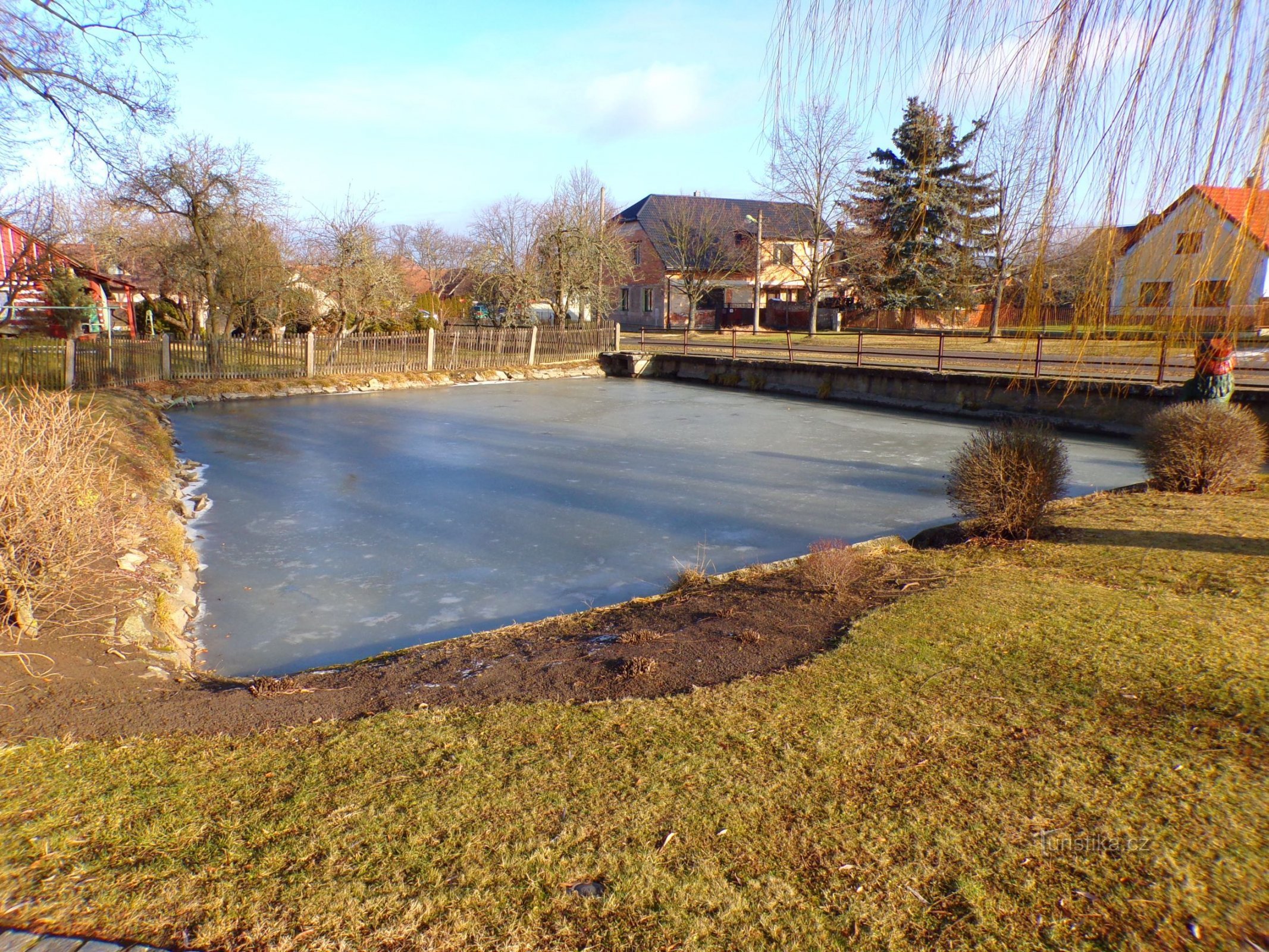 村の池 (Divec, 14.1.2022)