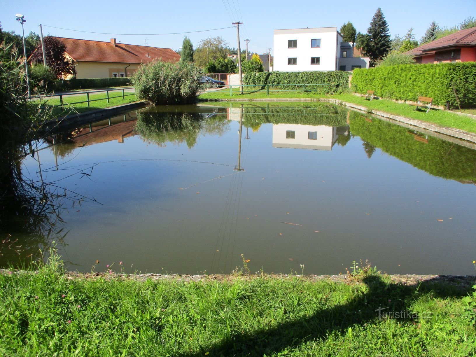 Village pond (Hrádek, 9.9.2020/XNUMX/XNUMX)