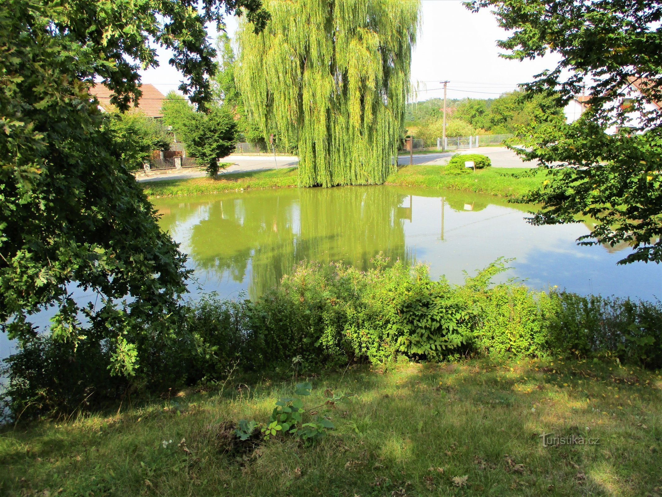 Laghetto del villaggio "Lednice" (Obědovice, 13.9.2020/XNUMX/XNUMX)