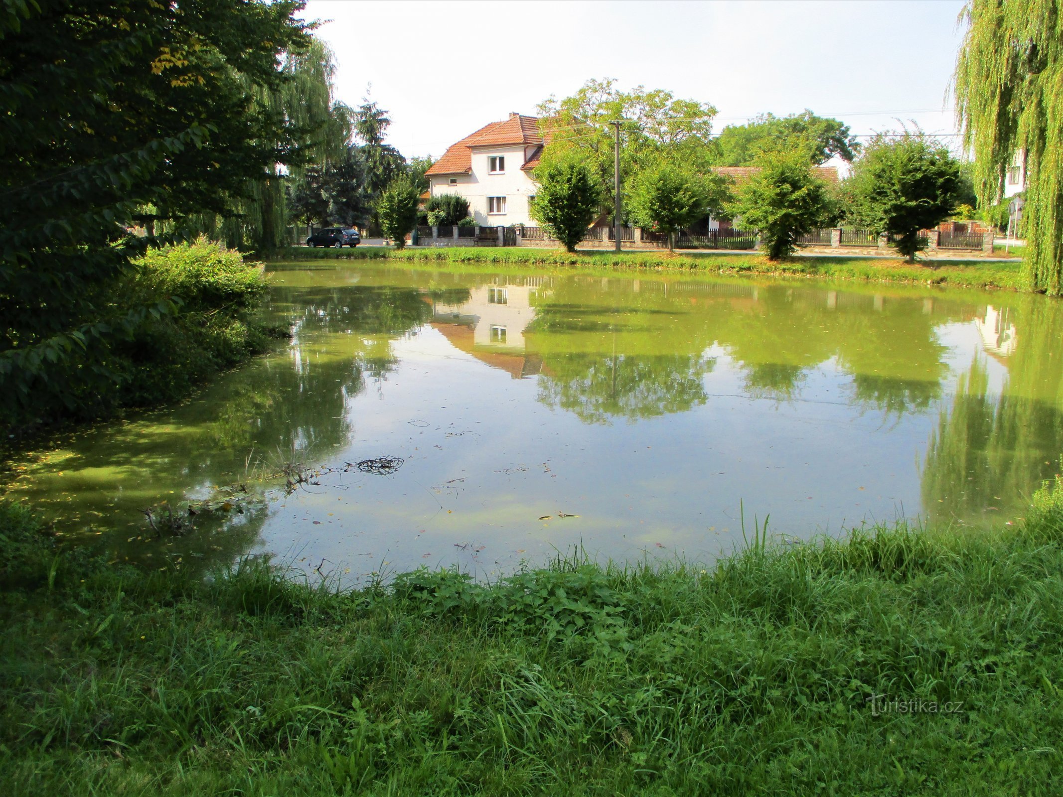 Сільський ставок "Lednice" (Oědovice, 13.9.2020)