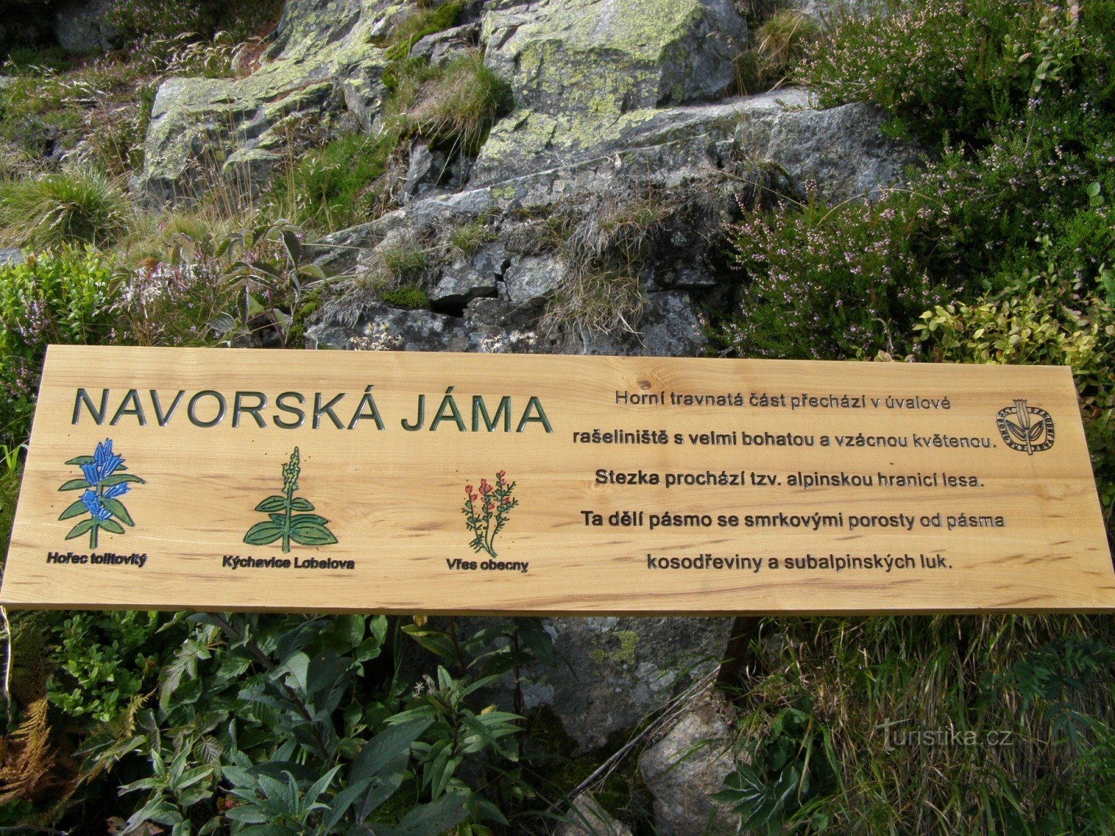 Navorská jáma