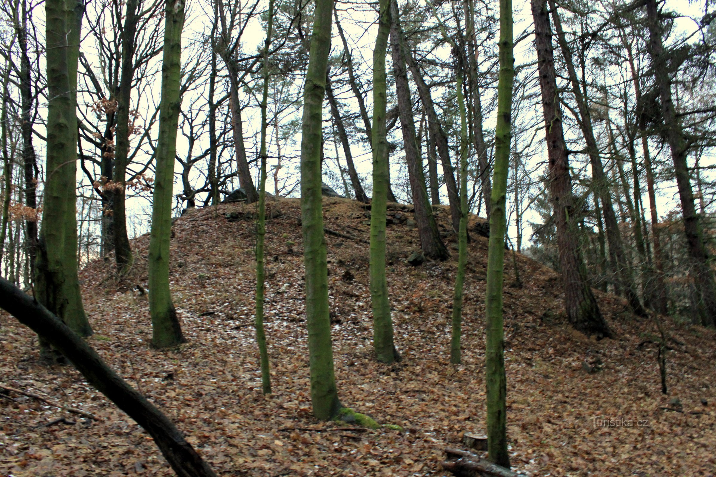 The hill fort