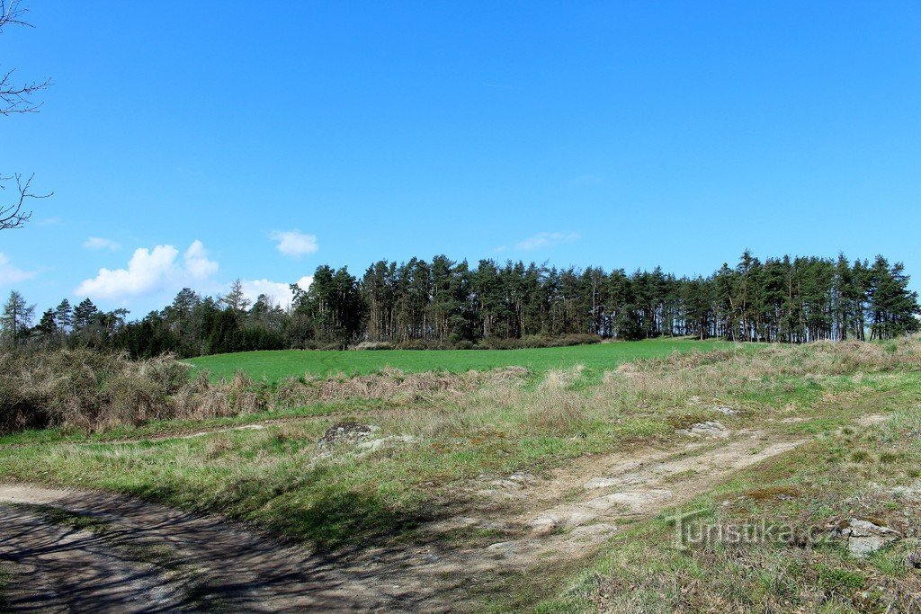 Heuvel op de Jezinský rybník