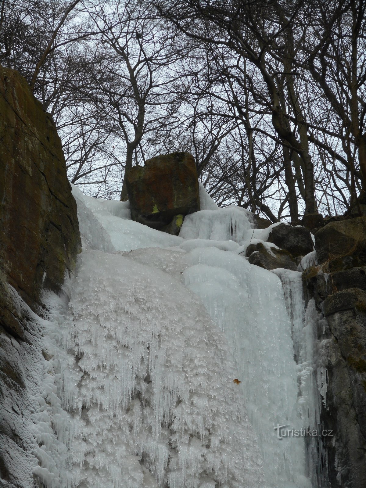 Una visita del guapo de hielo.