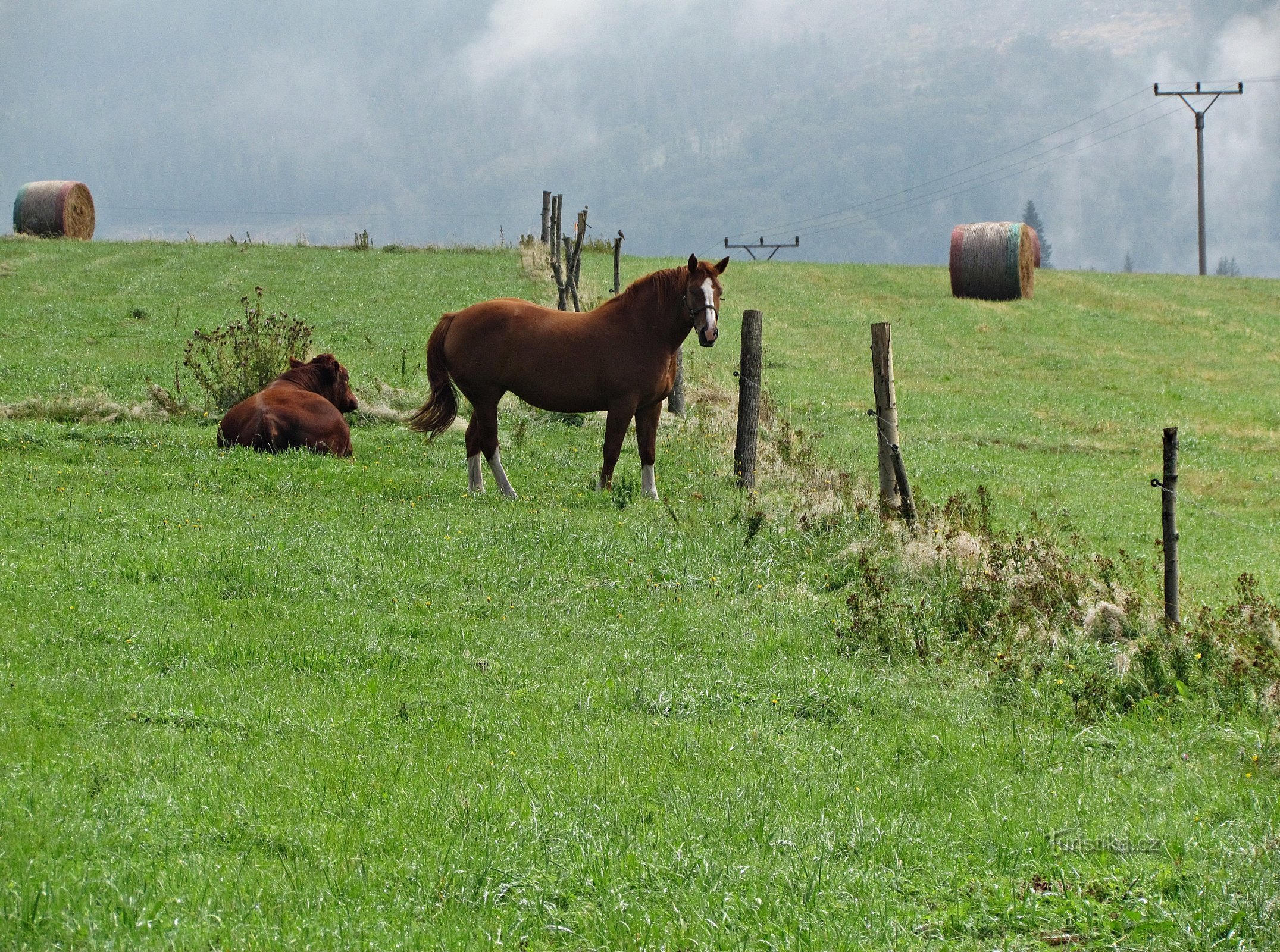 Uma visita à eco-fazenda Rejviz