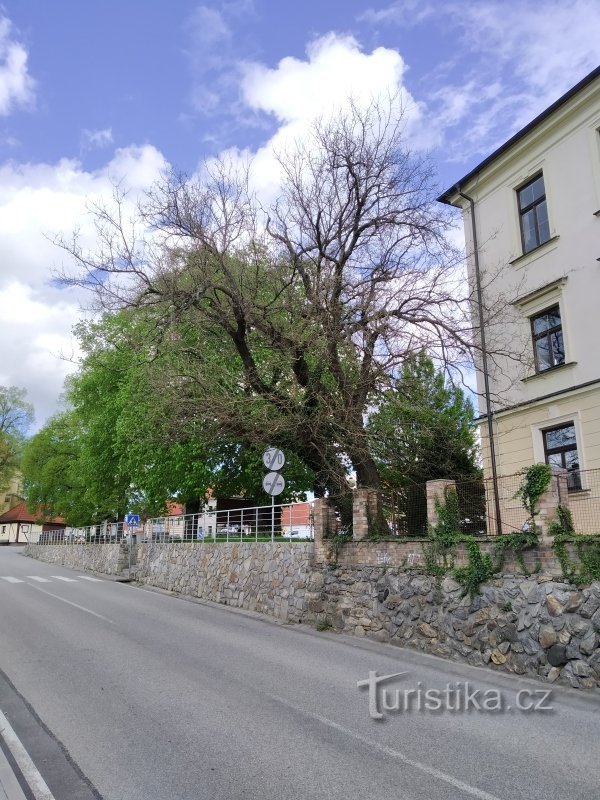 Javasoljuk, hogy látogassa meg a nyár végén, amikor az édes gyümölcsök beérnek