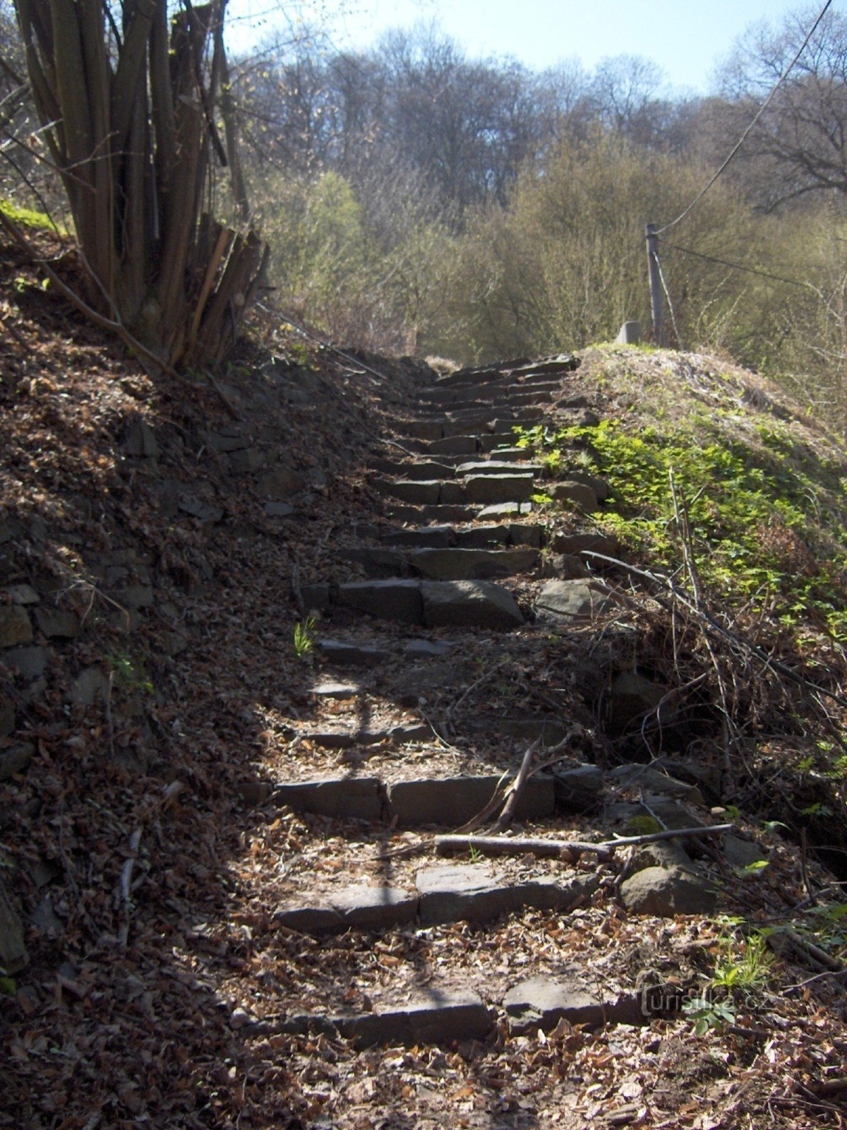 escaleras al cielo