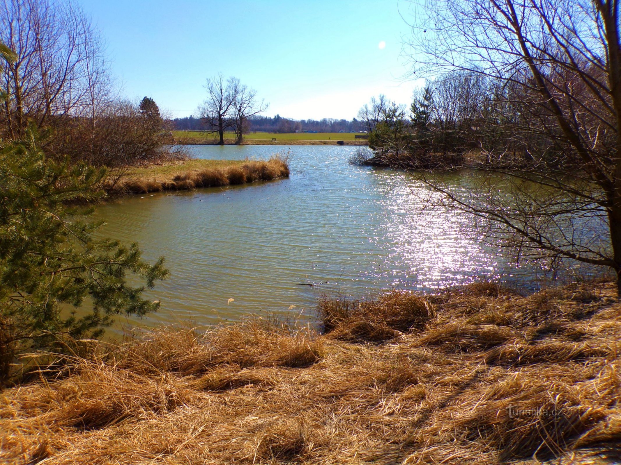 Heavenly pond (Vysoké Chvojno, 21.3.2022)