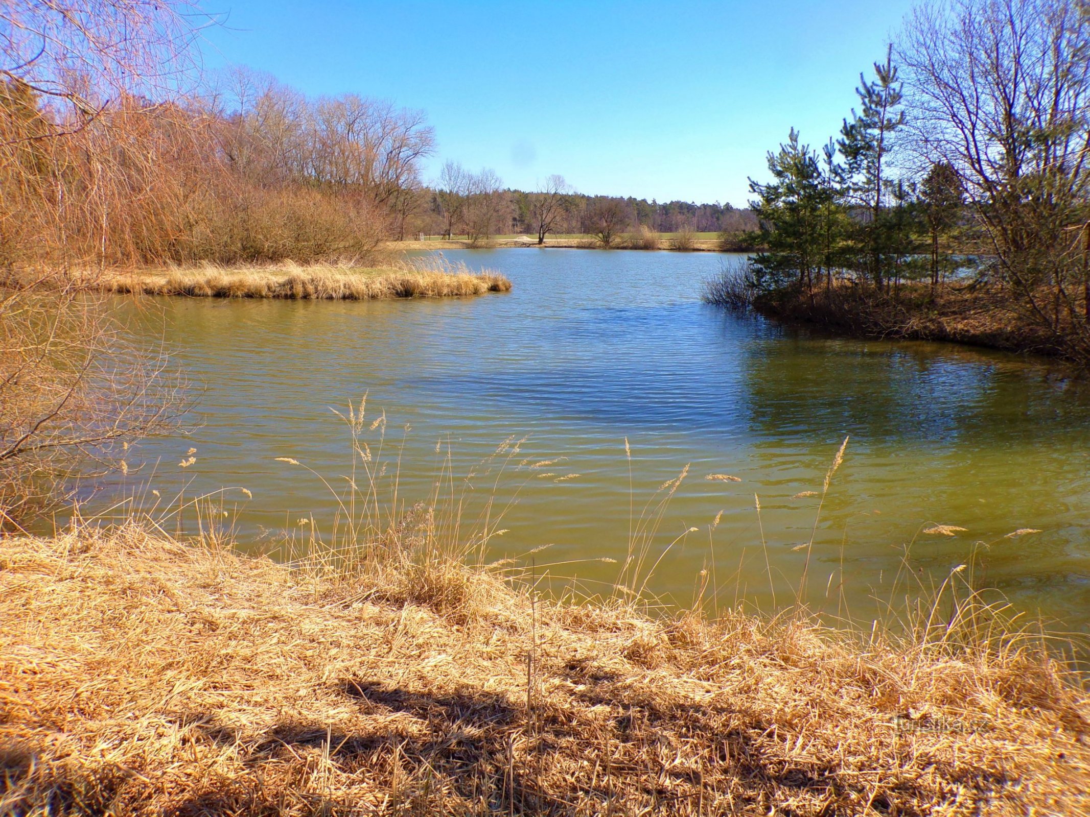 Heavenly pond (Vysoké Chvojno, 21.3.2022)