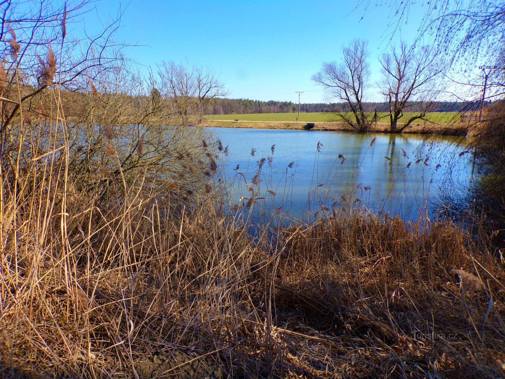 Heavenly pond (Vysoké Chvojno, 21.3.2022)