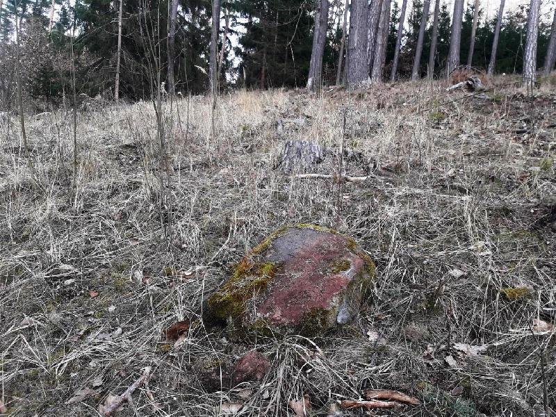 Nečemické kamenné řady