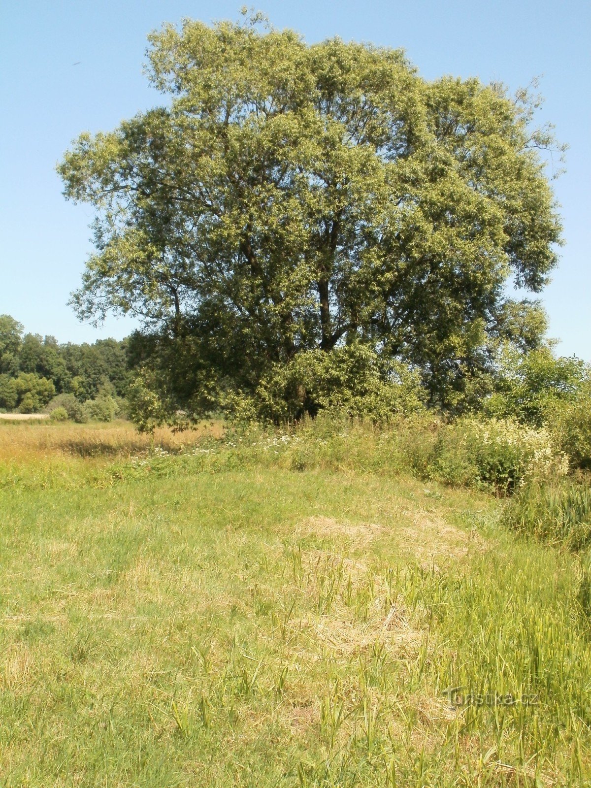 Nechanice - Festung (Überreste der Festung)