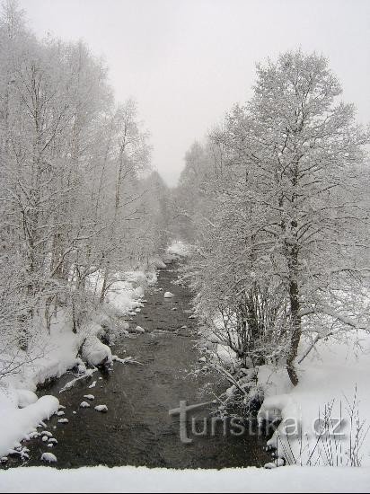 Near Prášil: East of the village of Prášil.