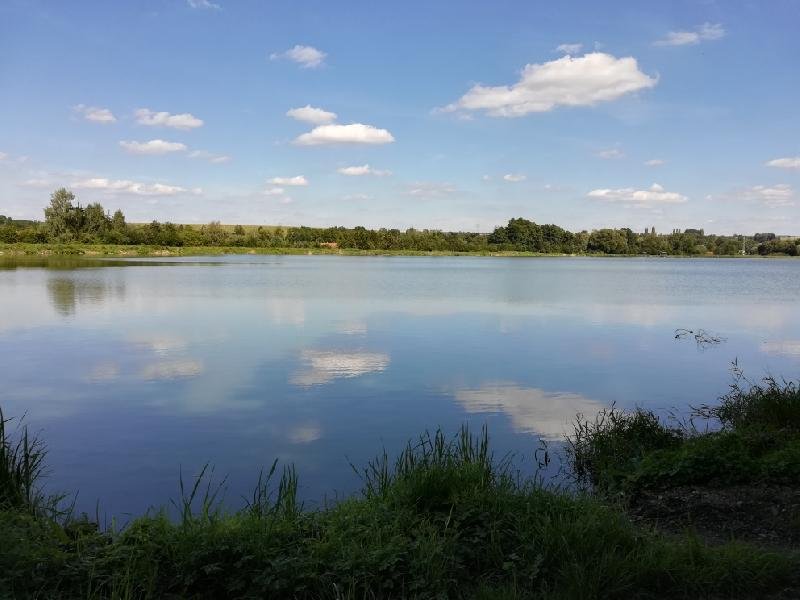 Nedošínský háj a rybník Velký Košíř