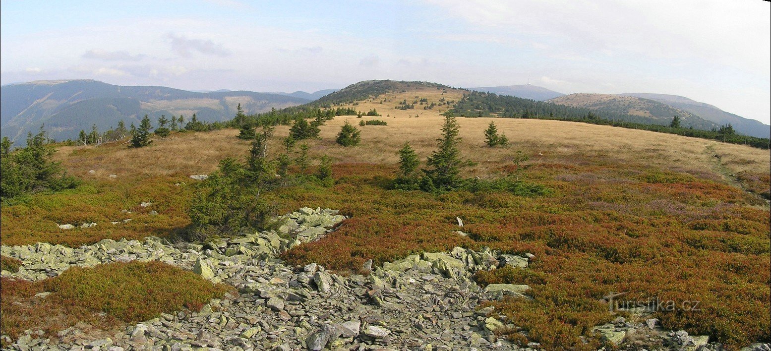 nejcenější vrcholové partie přírodní rezervace Břidličná (pohled z Pecného k Bři