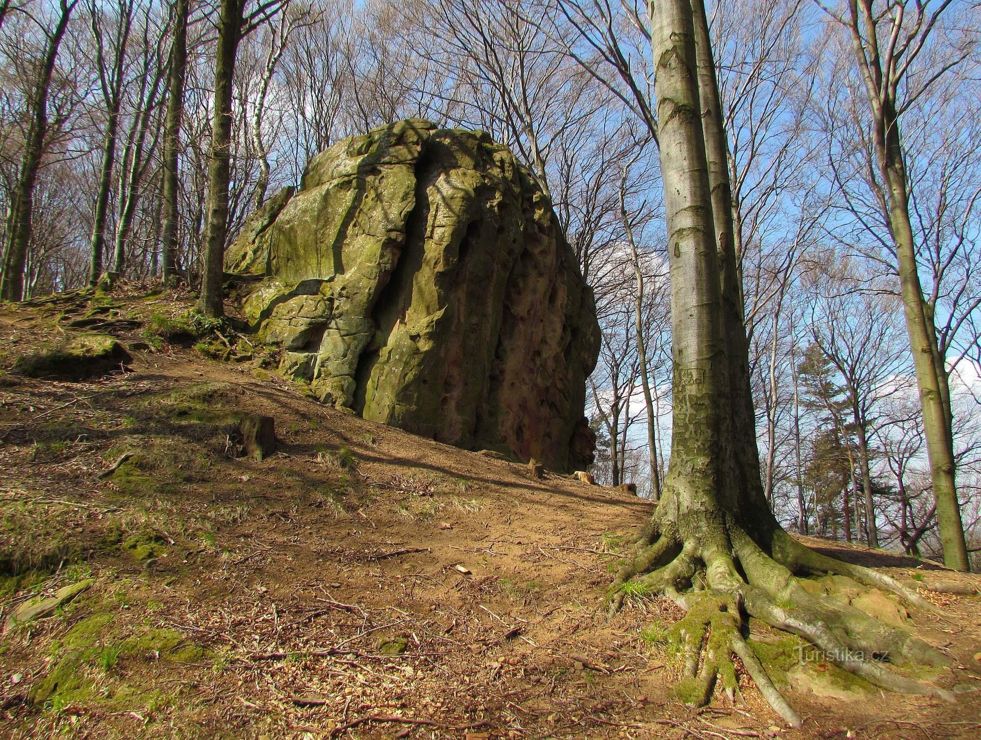 De mest porösa klipporna i Vizovice Hills