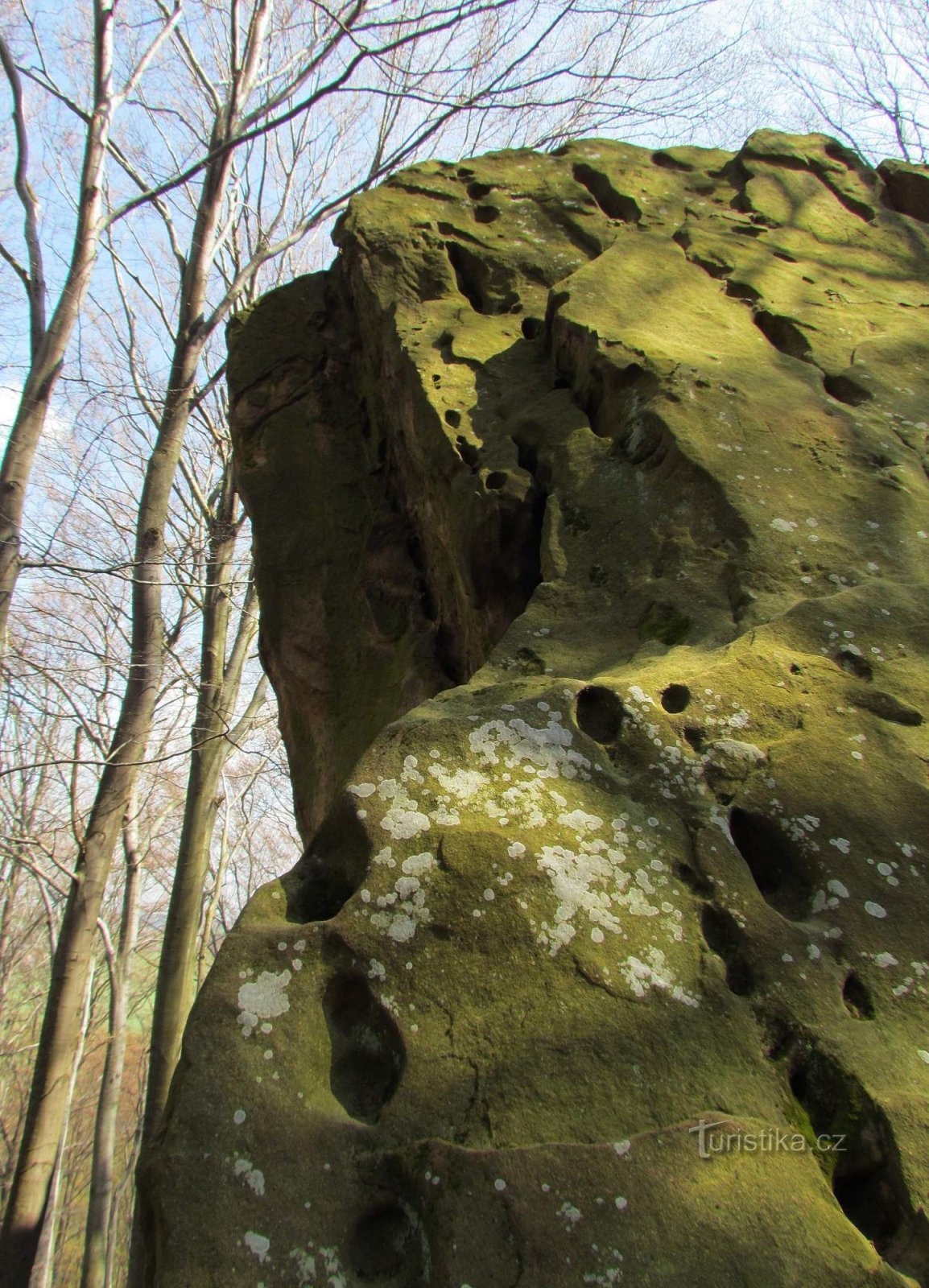 ヴィゾヴィツェ丘陵の最も多孔性の岩