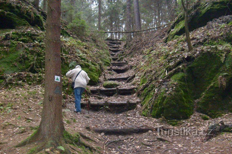 eerste klim naar Jestřebické vovikky