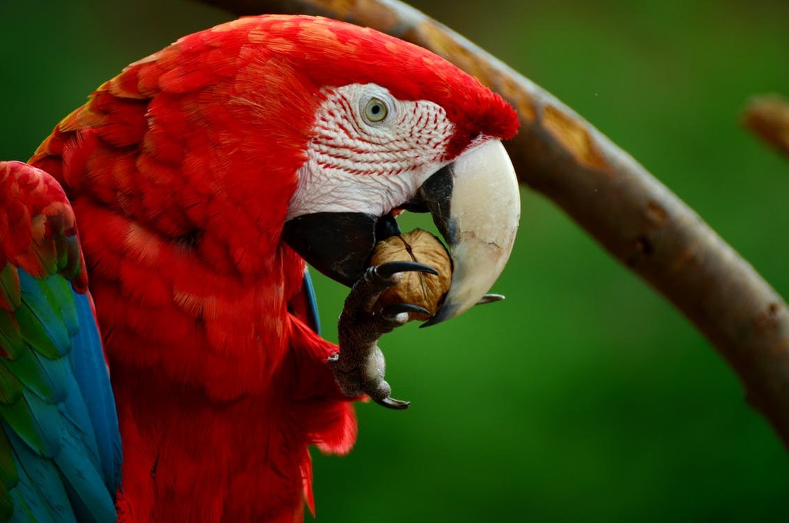 Najpiękniejsze czeskie ogrody zoologiczne - część czwarta