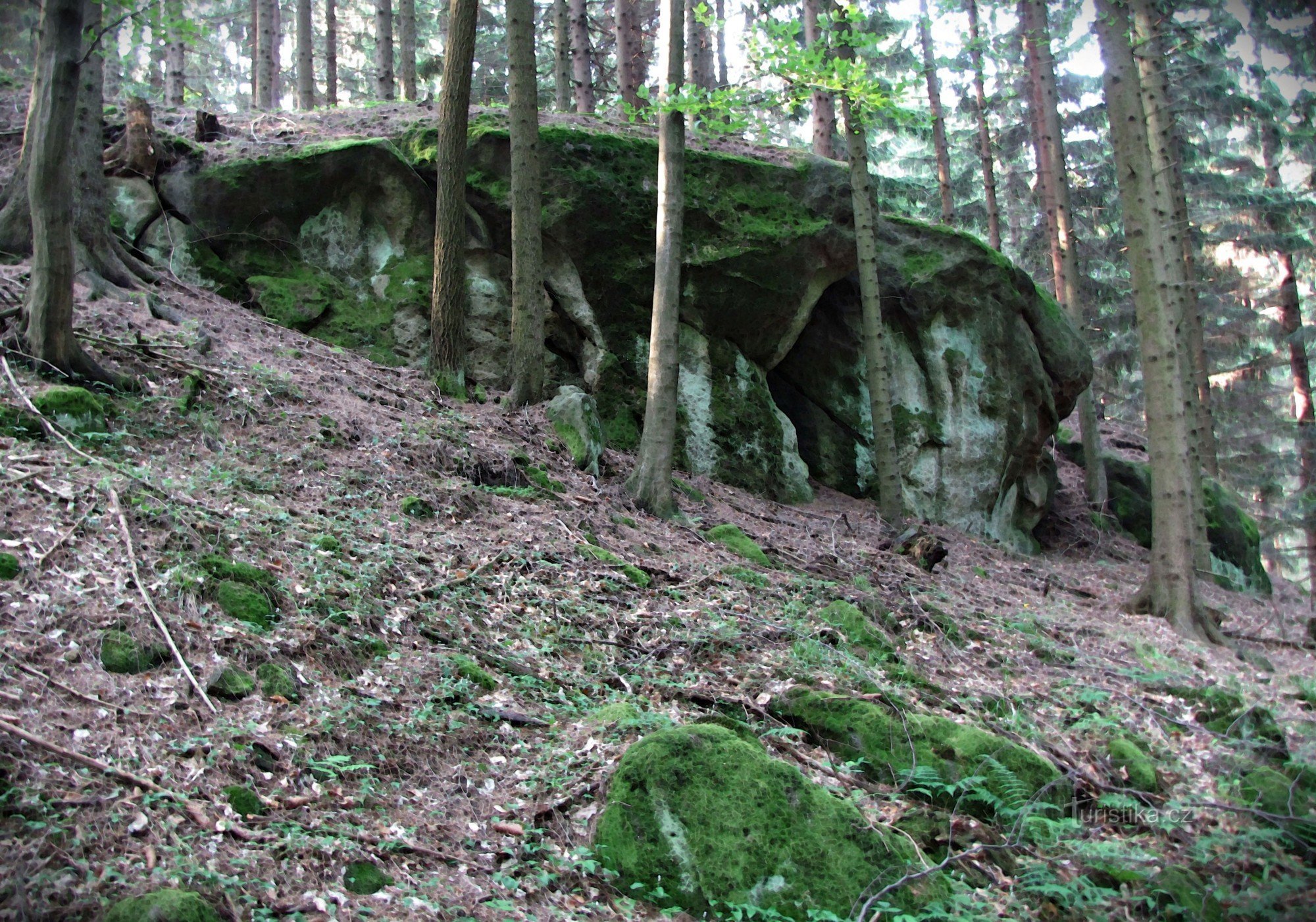 最小的霜冻小屋