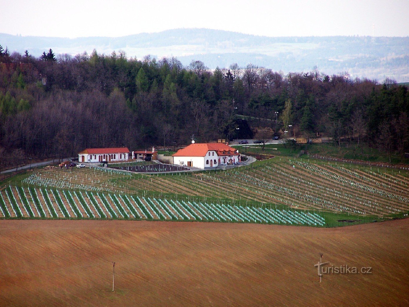 the highest situated Sádek - Kojetice winery in Moravia; Photo: source archive of the Winery Fund