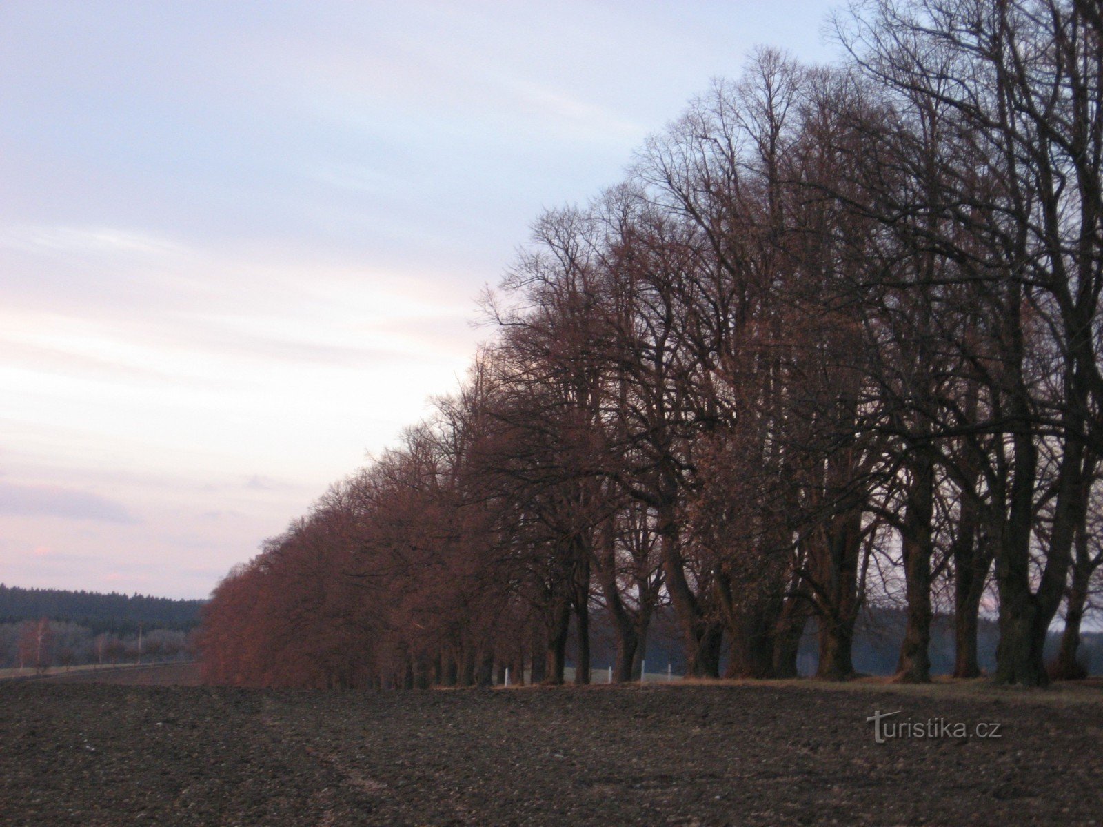 le point culminant de l'avenue