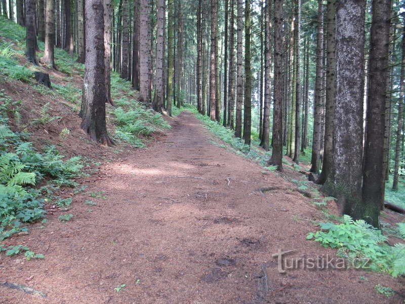 pe alocuri poteca de-a lungul fostei piste este lată, în altele o potecă îngustă