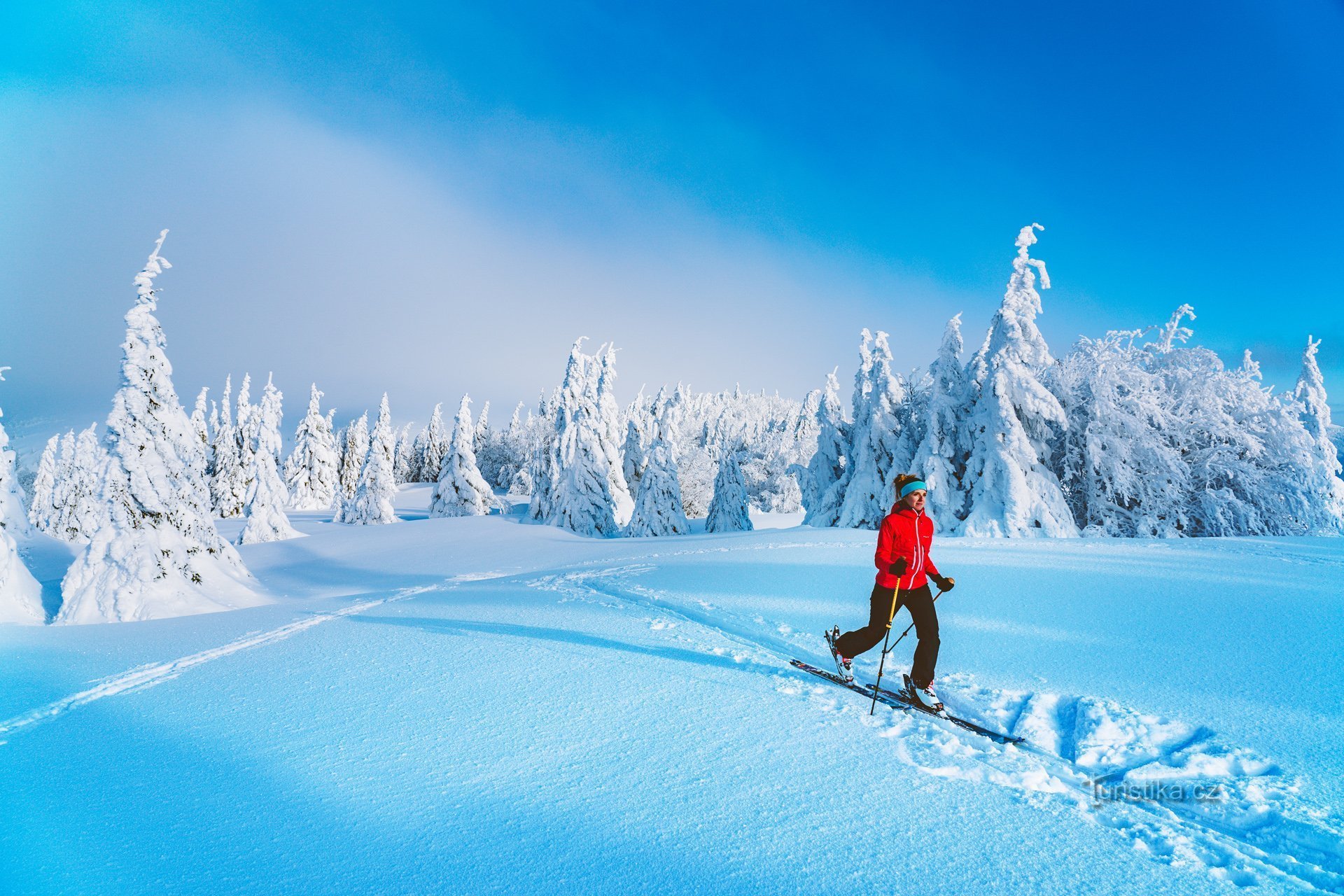 Several compelling reasons to visit the Jeseníky Mountains now...