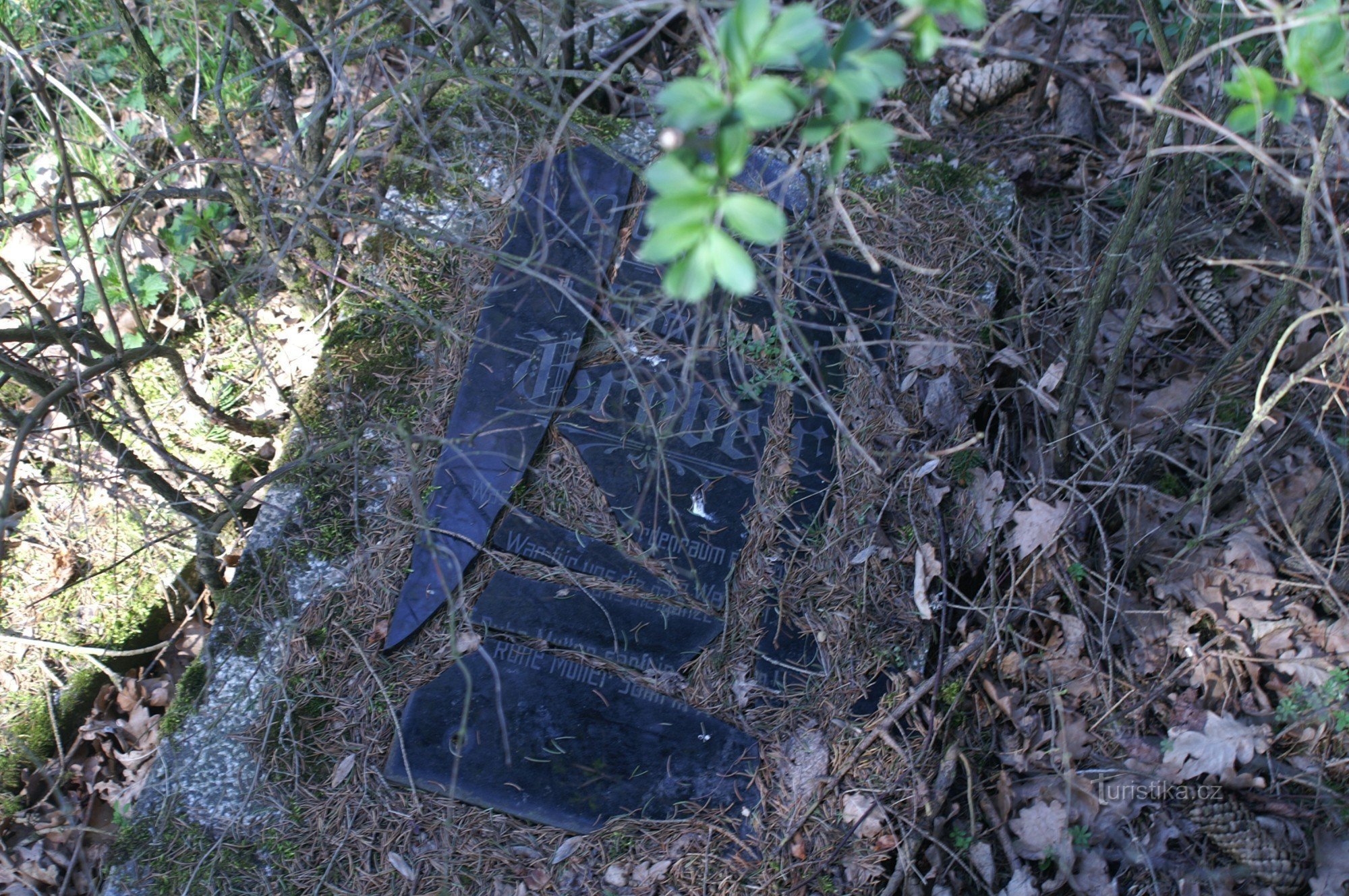 German cemetery near Maxov