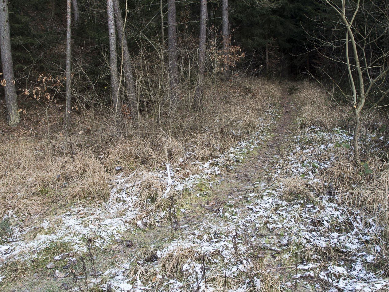 Neugledna pješačka staza