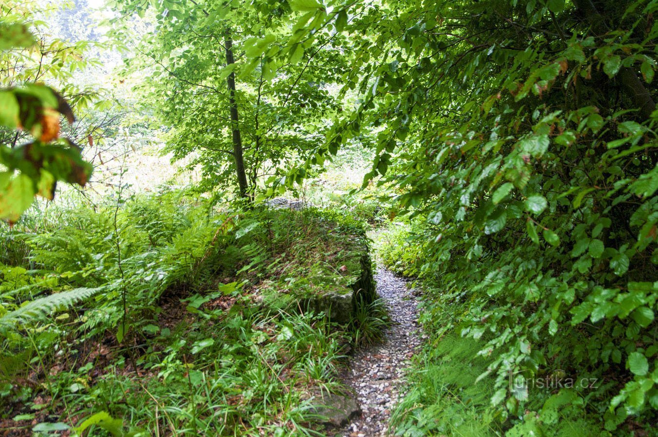 Ein unscheinbarer Fußweg