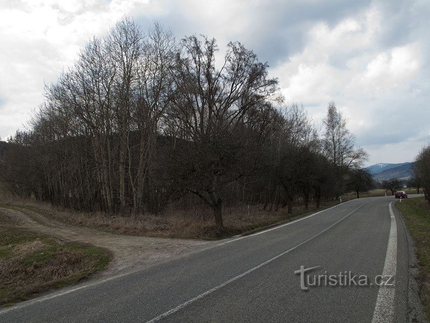 Nenápadný remízek u silnice před Loučnou