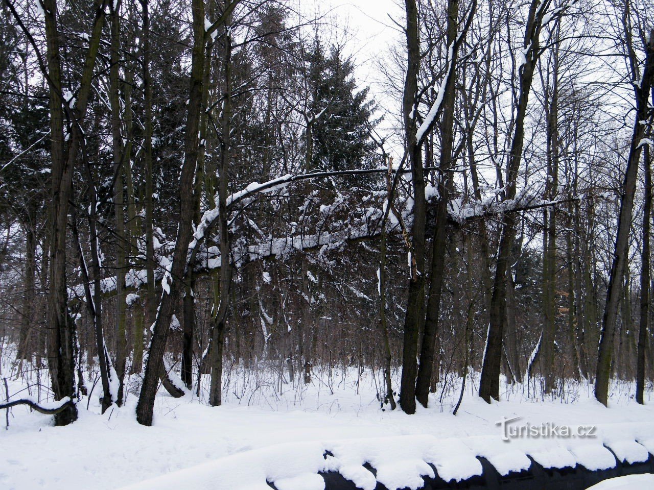 не впала, просто невміло порізана