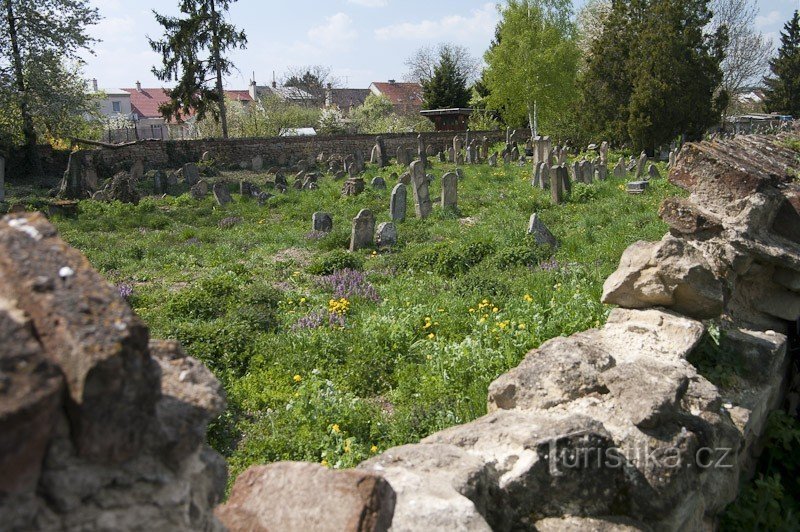 Неофіційний стінний вхід