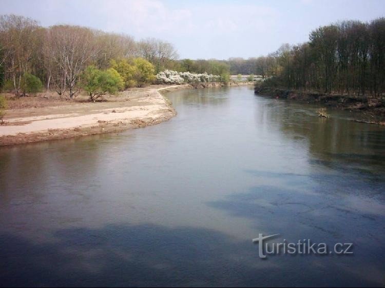 Een niet-gereguleerd deel van de rivier de Morava