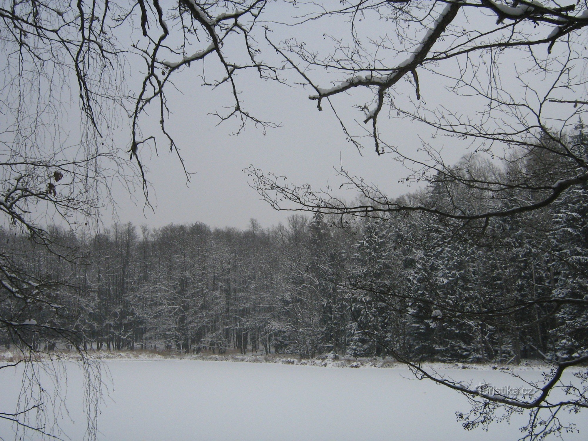 Nestlivský pond