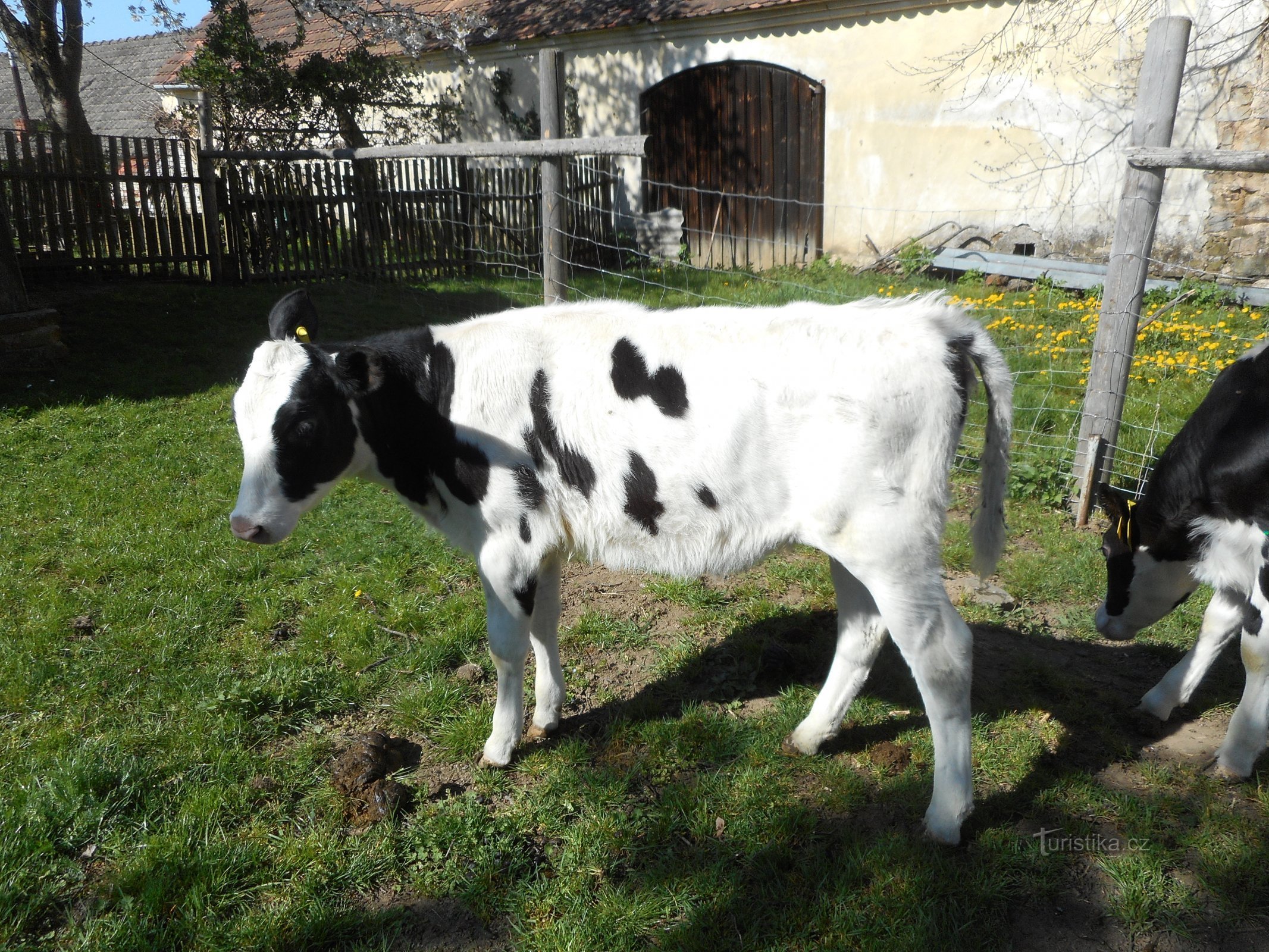 NETĭCHOVICE-AGRICULTURAL MUSEUM