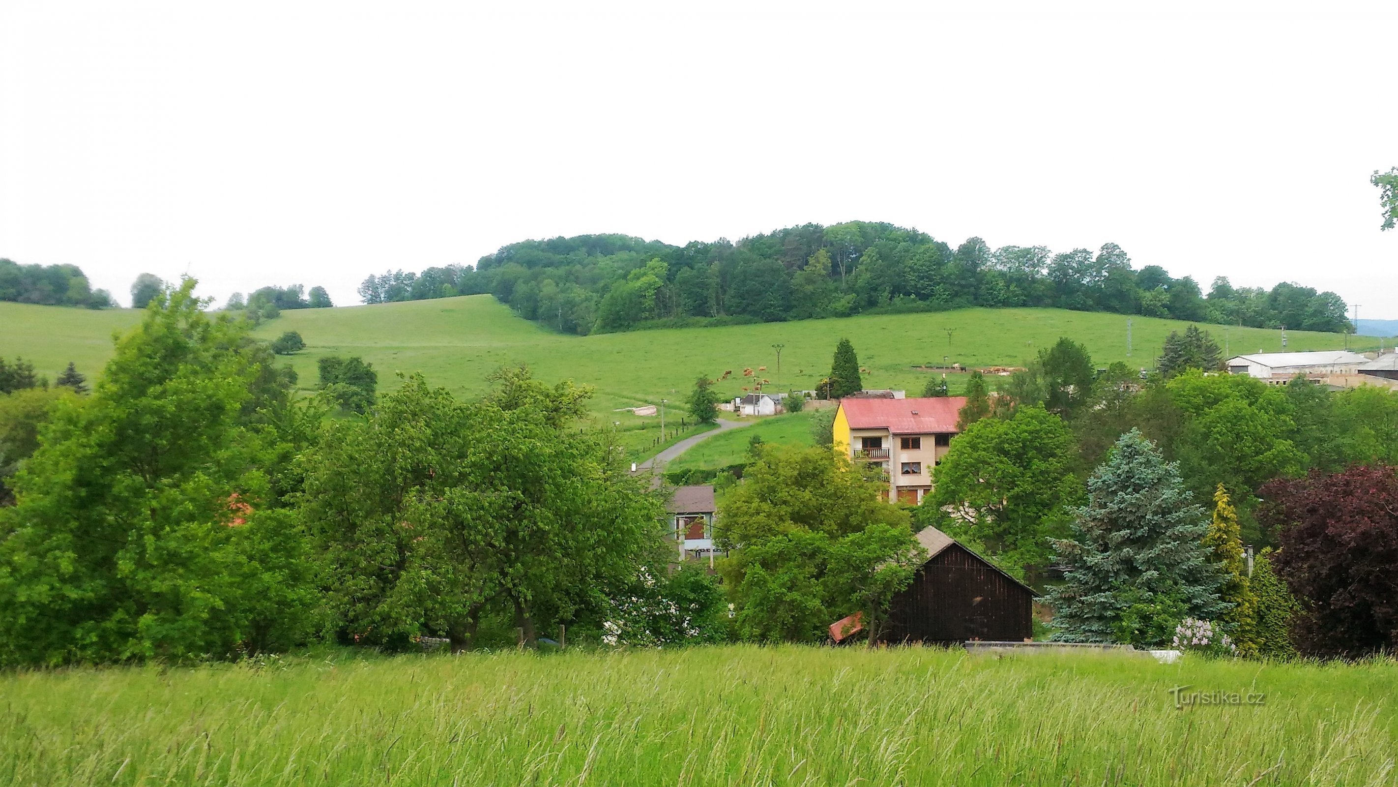 Netterskoppe, Leśna