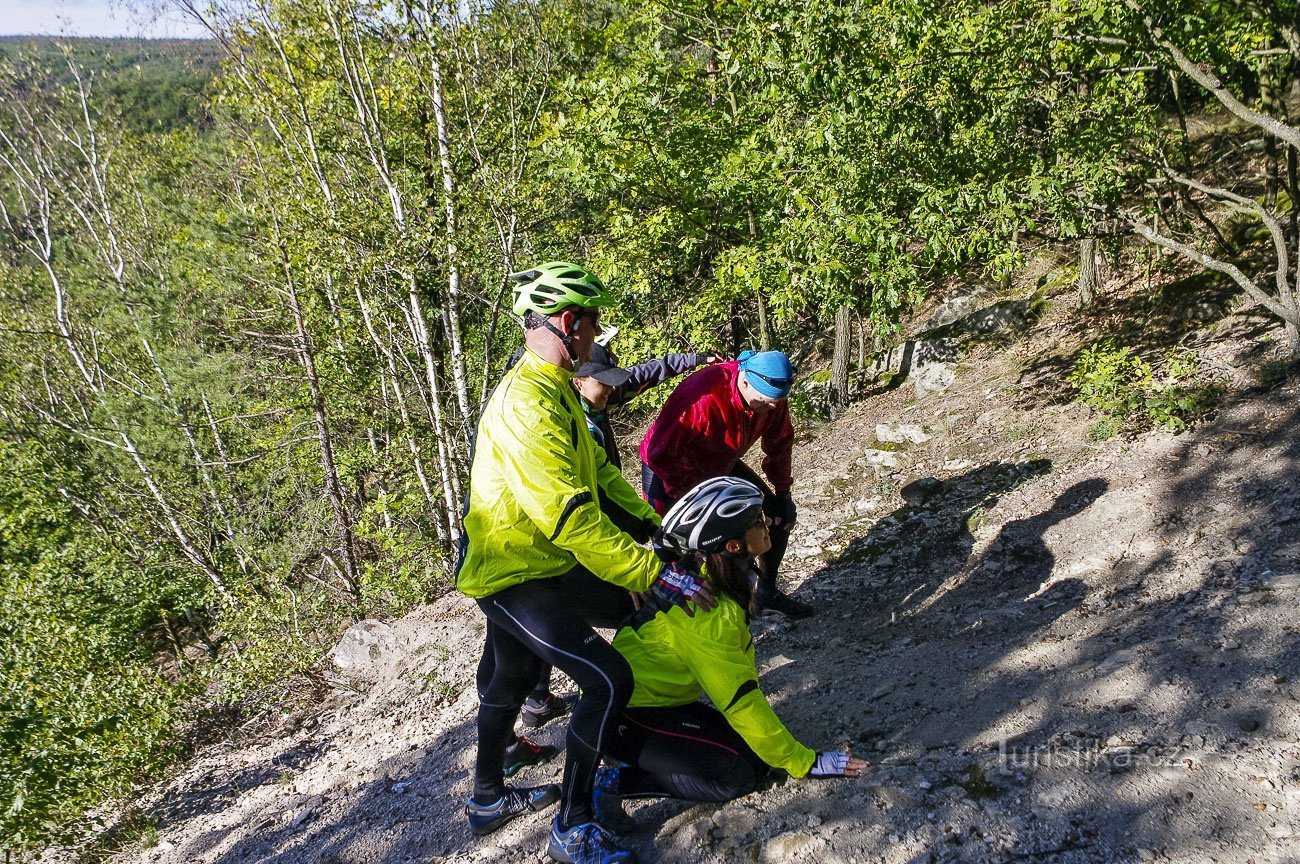 Preden je fotografija urejena