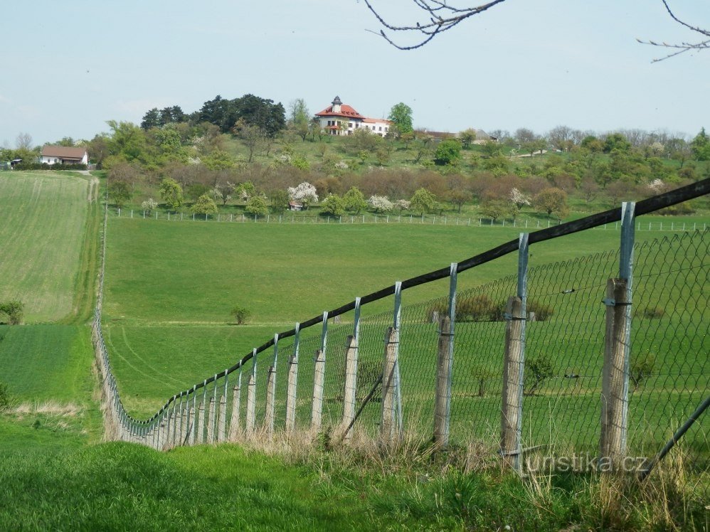 Unbewaldeter Teil des Feldes