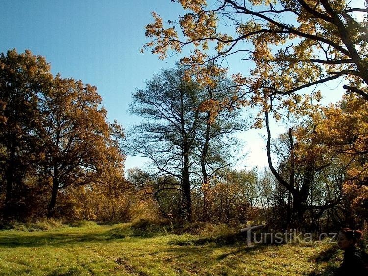 Nežárka - folyó: Nežárka környékén