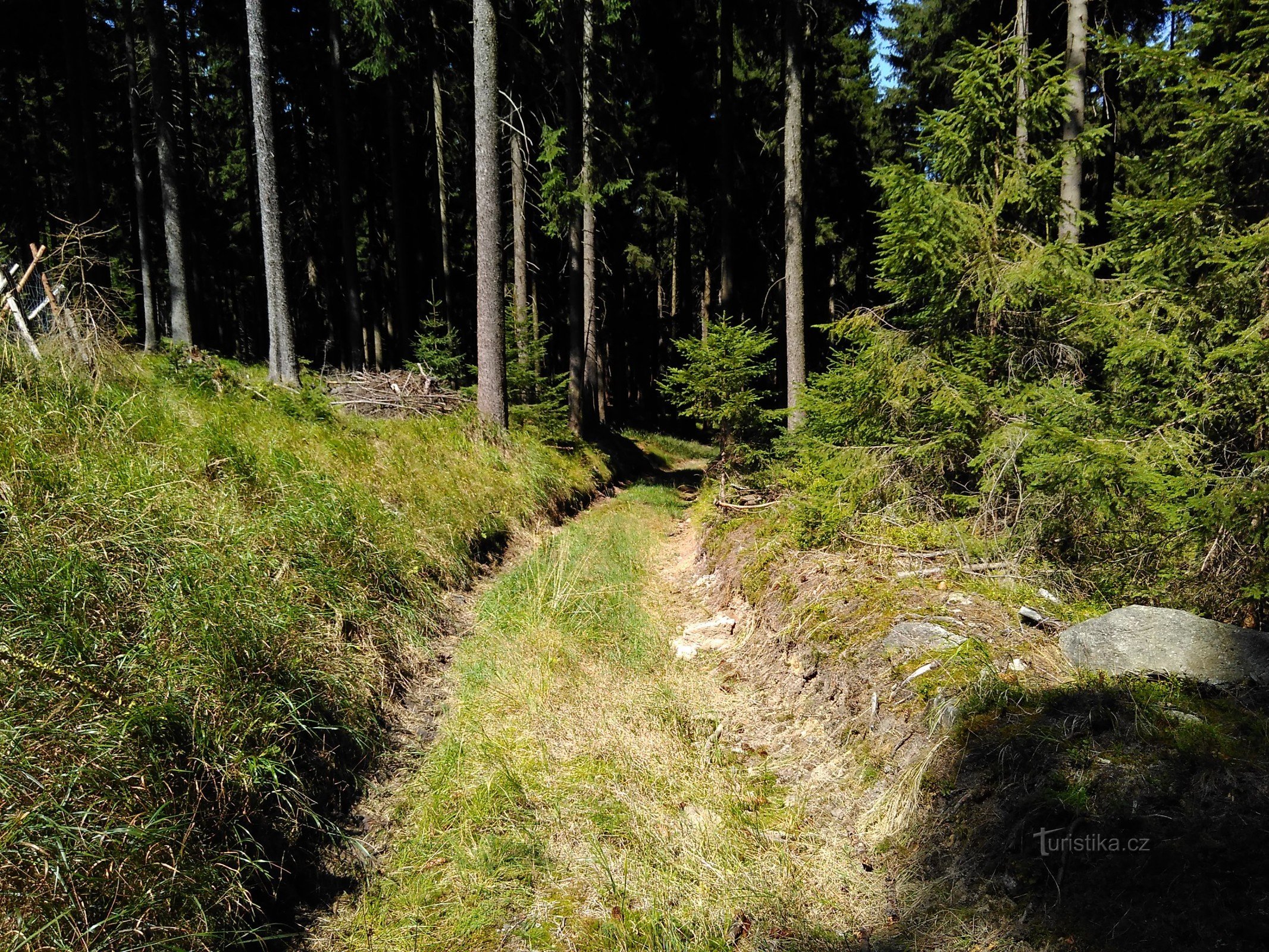 route forestière non balisée