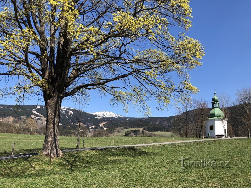 Ukendt Krkonoše_Kněžice