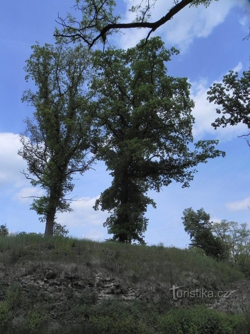 Gespenster, Bäume statt Festung