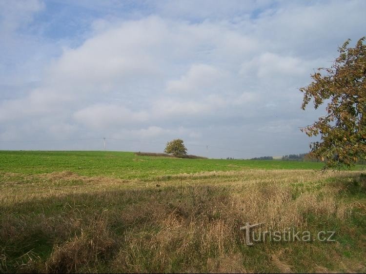 Niva: Blick auf den Hügel